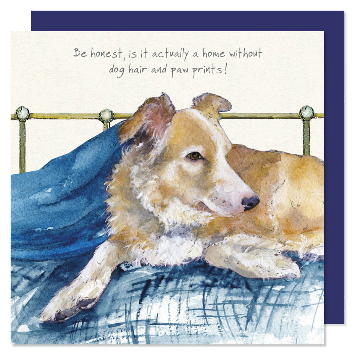 Card - Red and White Border Collie Home by Little Dog Laughed