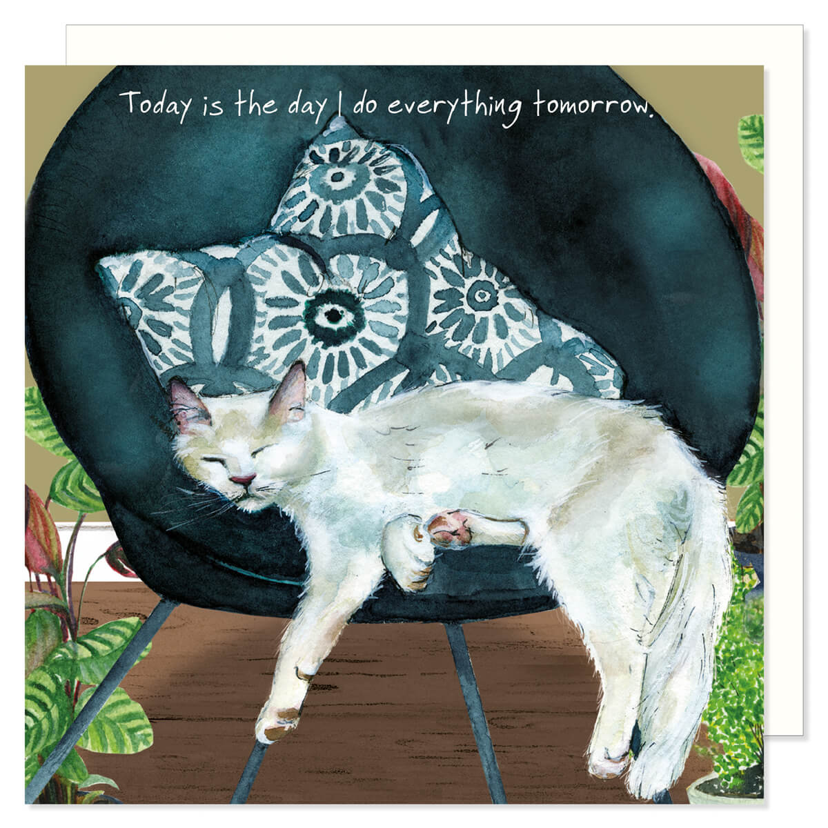 Card - White Cat Today by Little Dog Laughed