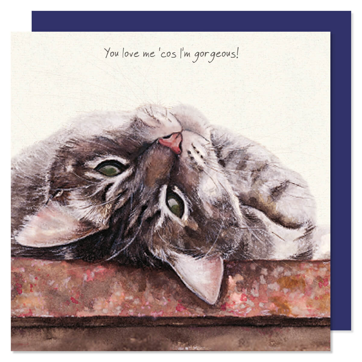 Card - Tabby Cat Love Me Because I’m Gorgeous by The Little Dog Laughed