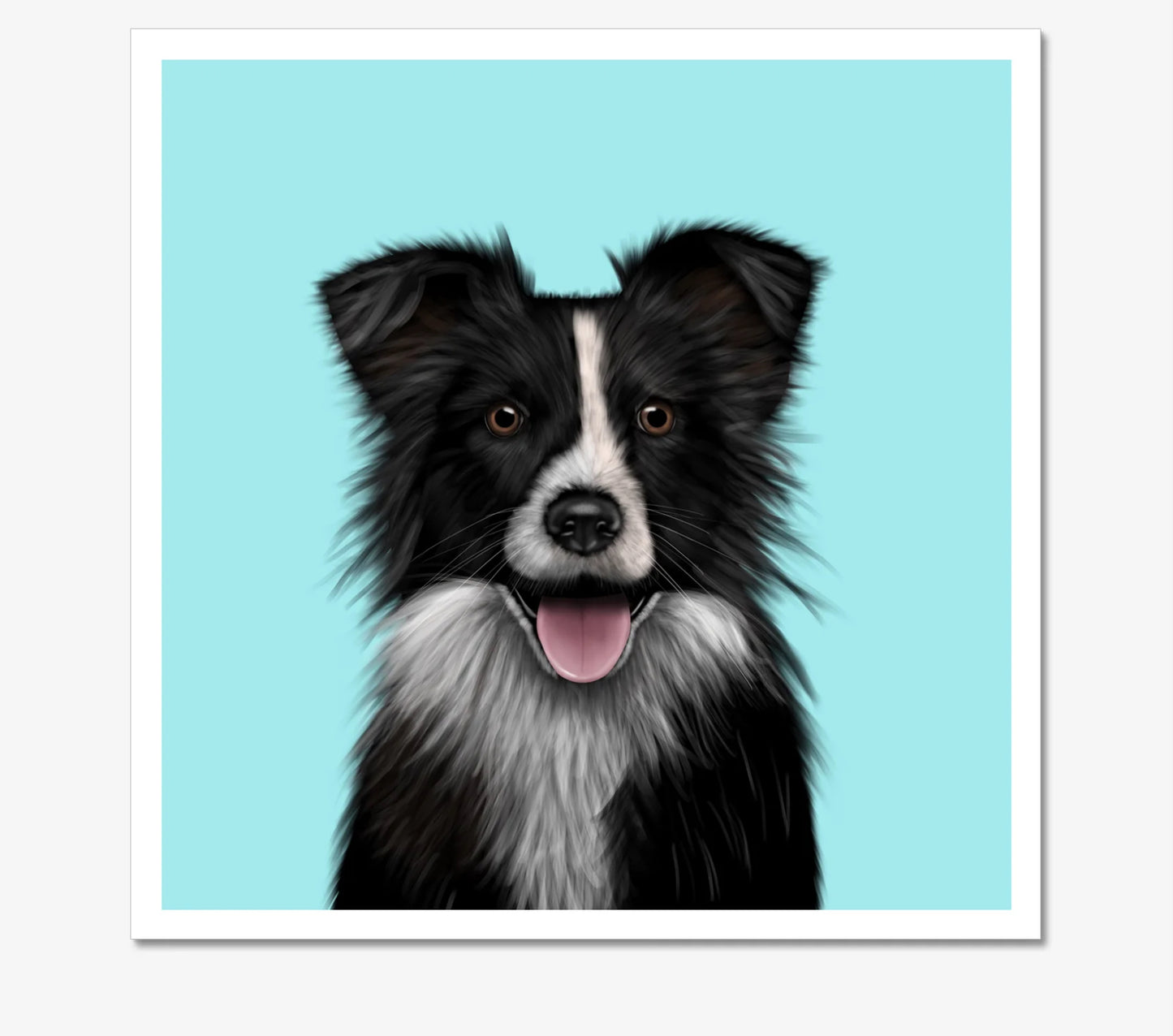 Border Collie Art Print