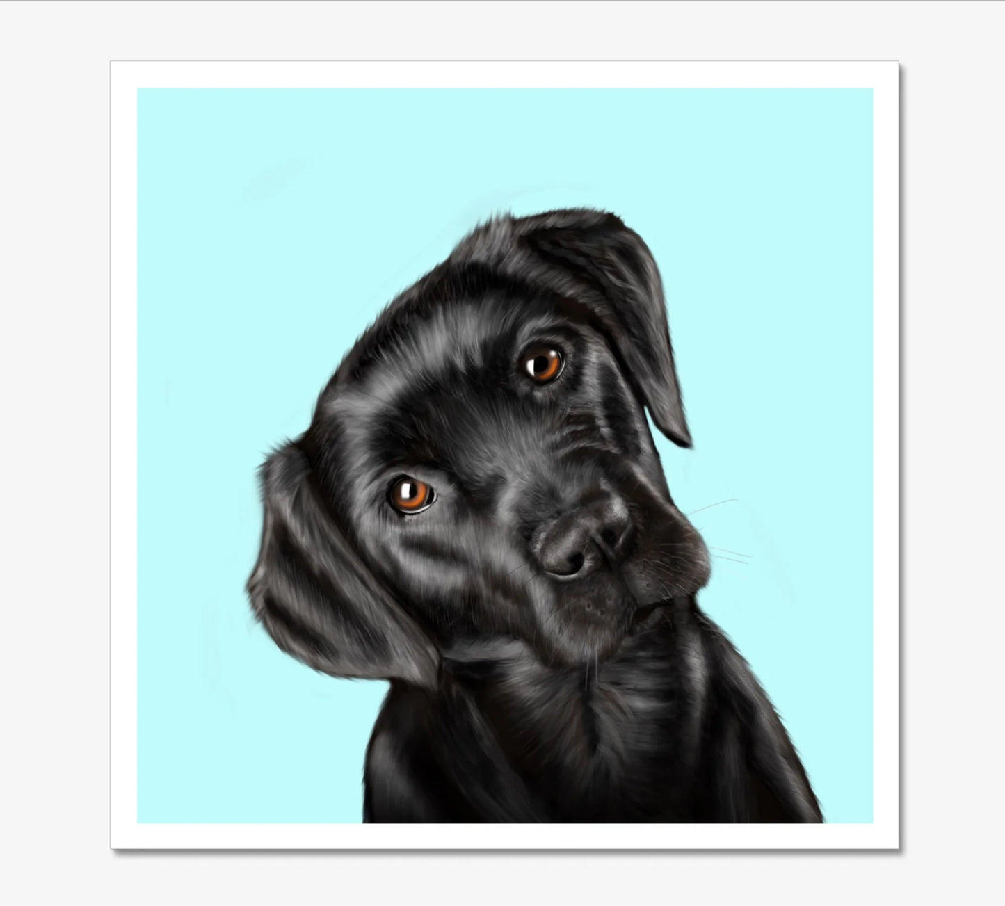Black Labrador - Art Print
