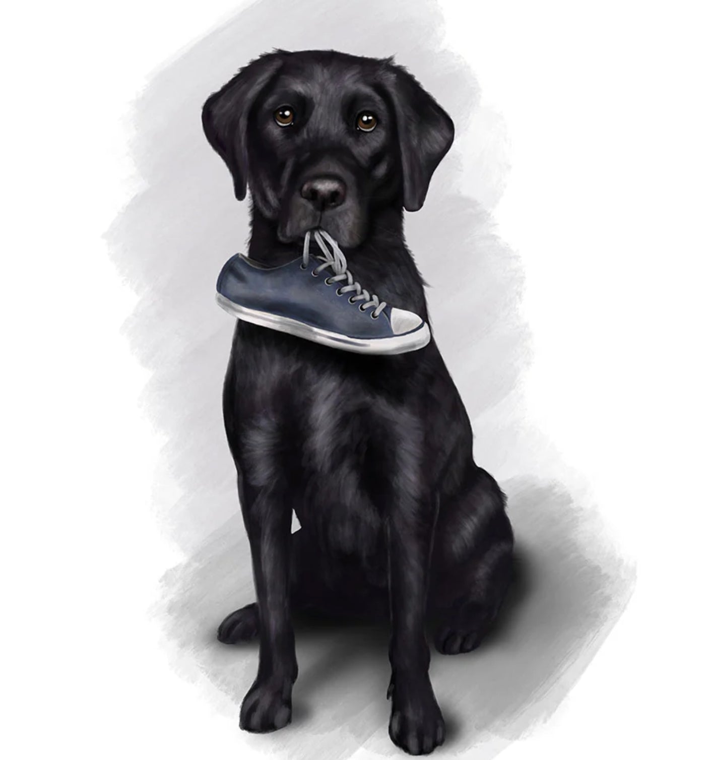 Black Labrador "I've got your Shoe" A4