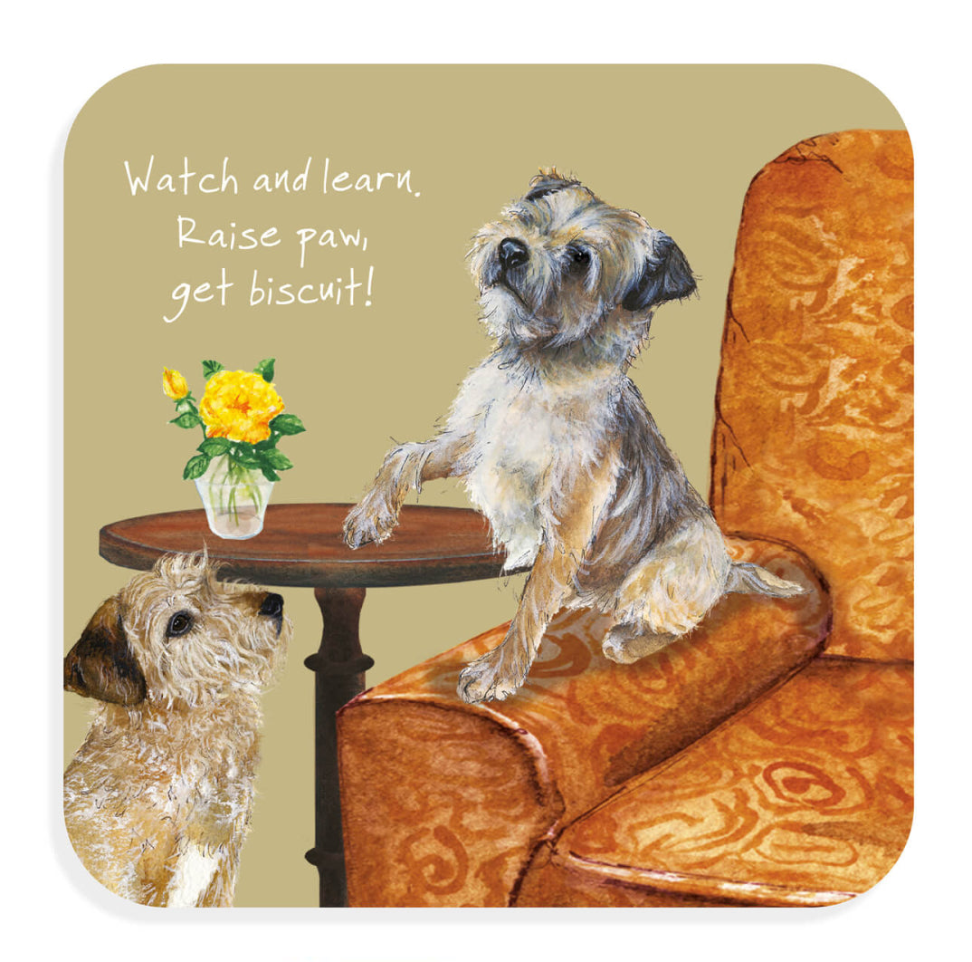 Coaster - Border Terriers Raise Paw