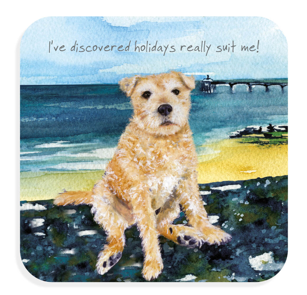 Coaster - Lakeland Terrier Suit Holidays