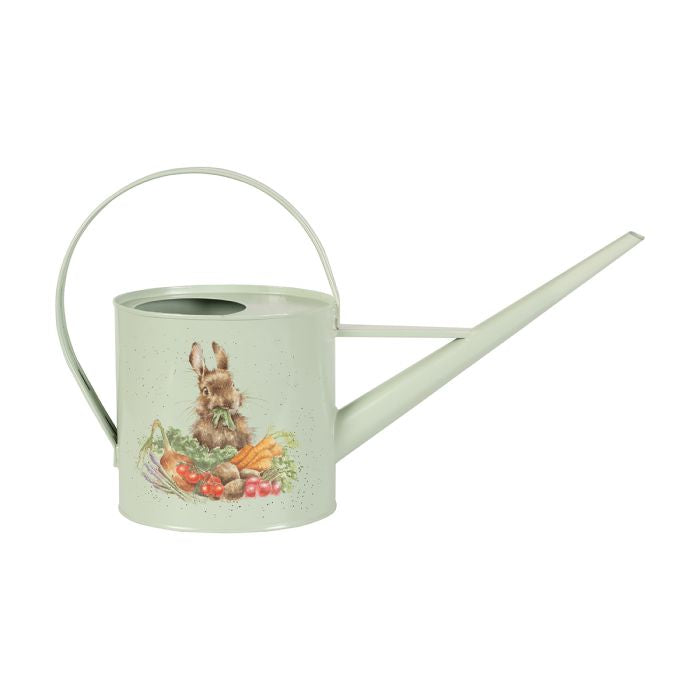 'SLEEPING ON THE JOB' BORDER COLLIE AND RABBIT WATERING CAN