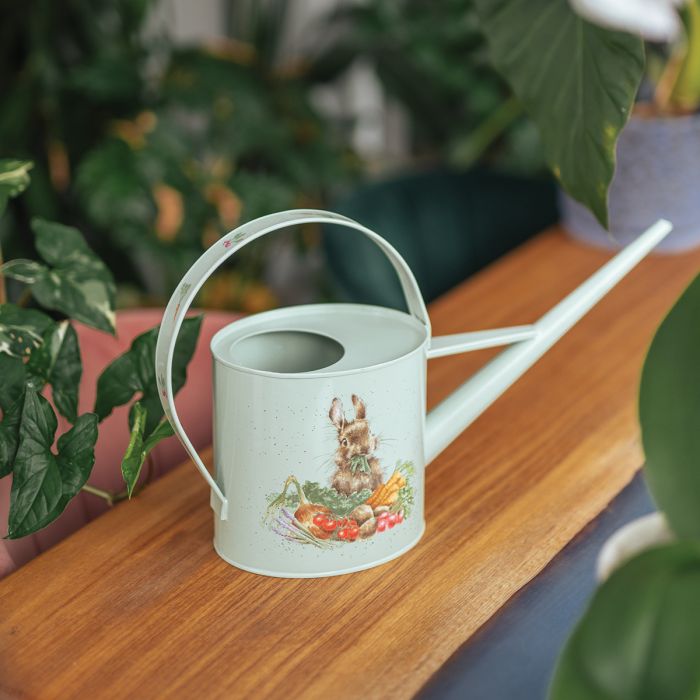 'SLEEPING ON THE JOB' BORDER COLLIE AND RABBIT WATERING CAN