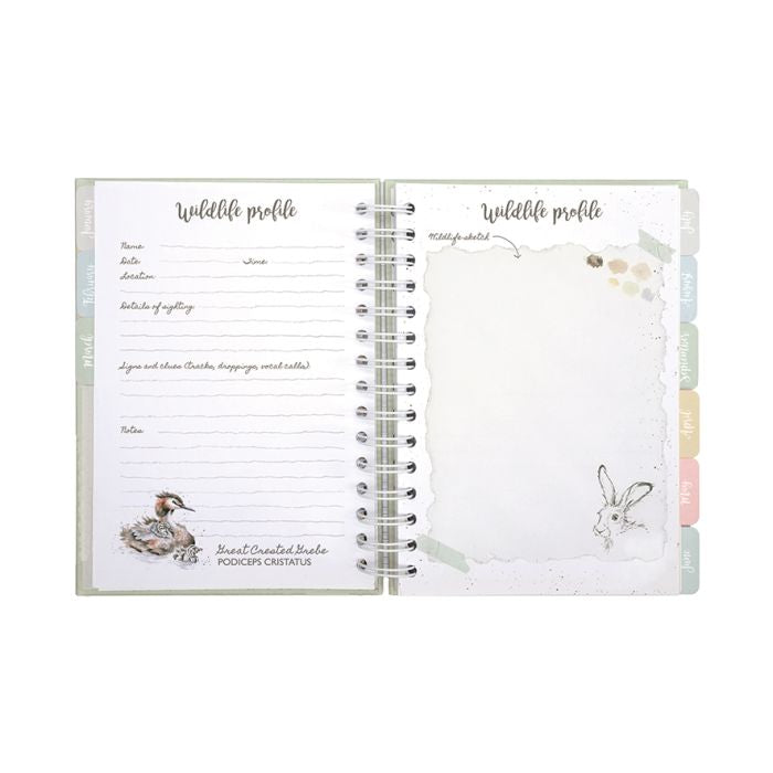 'BRIGHT EYED AND BUSHY TAILED' FOX WILDLIFE JOURNAL