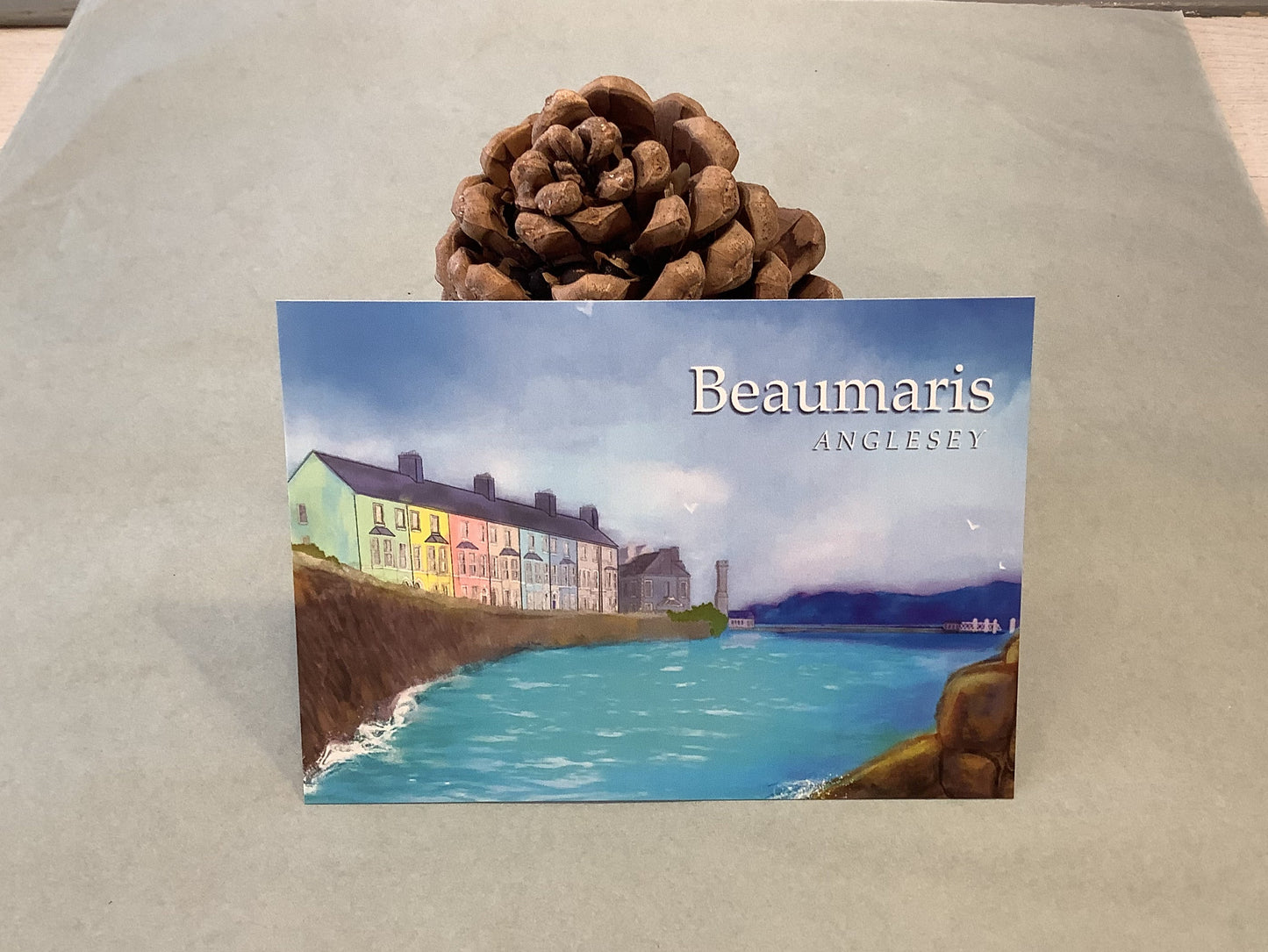 Beaumaris Houses Postcard