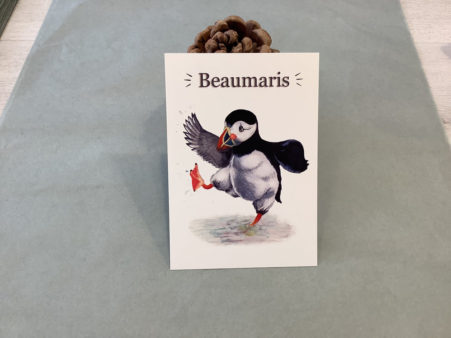 Beaumaris Puffin Postcard