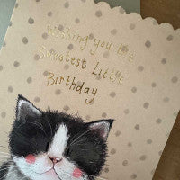 Alex Clark Kitten Birthday Card