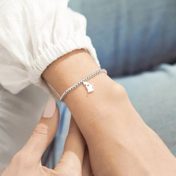 A Little 'Life Is Better With Cats' Bracelet in Silver Plating