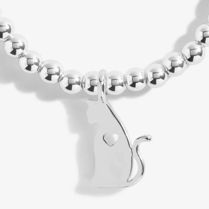 A Little 'Life Is Better With Cats' Bracelet in Silver Plating