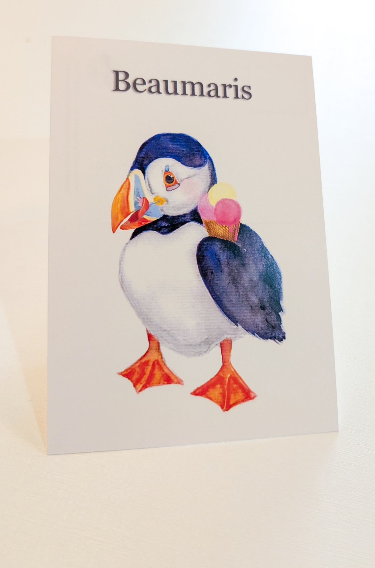 Hand Painted Beaumaris Puffin Delight Postcards