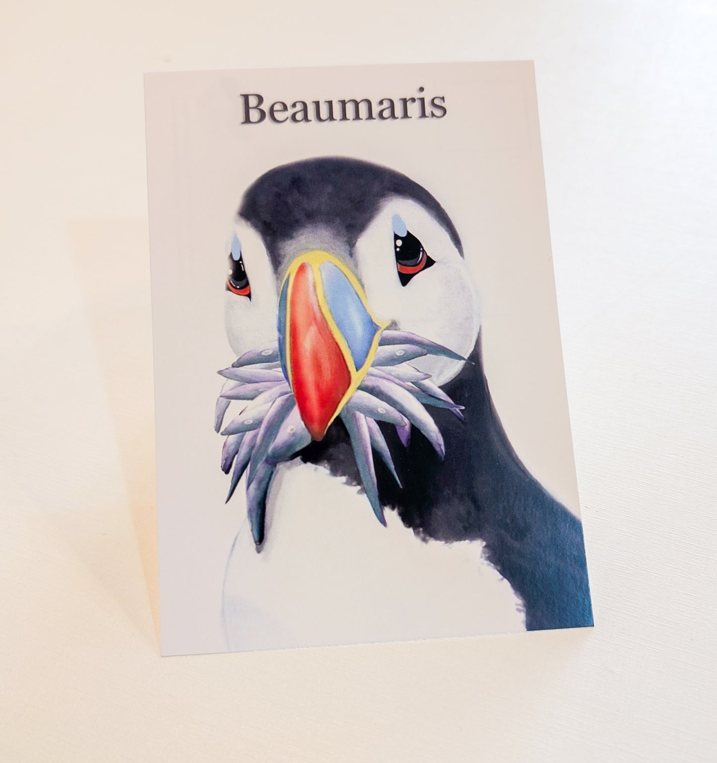 Hand Painted Beaumaris Stuffin' Puffin Postcards