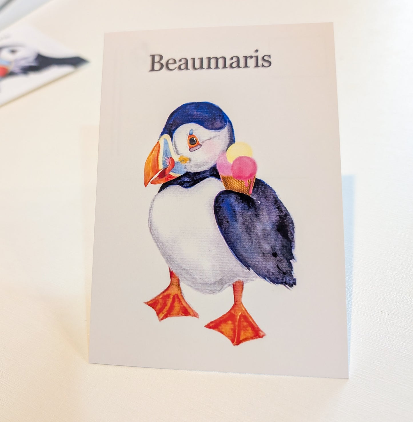 Hand Painted Beaumaris Puffin Delight Postcards