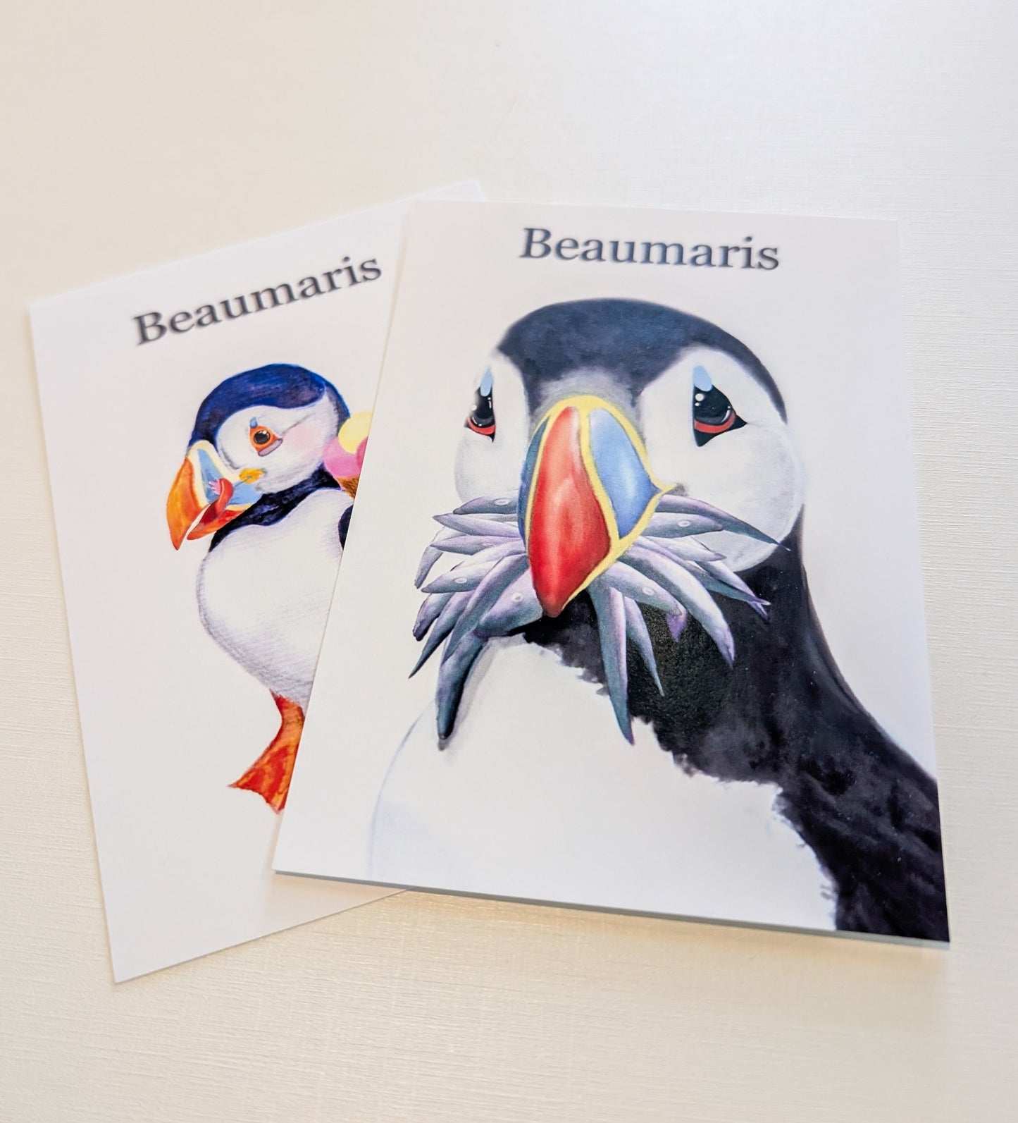 Hand Painted Beaumaris Stuffin' Puffin Postcards
