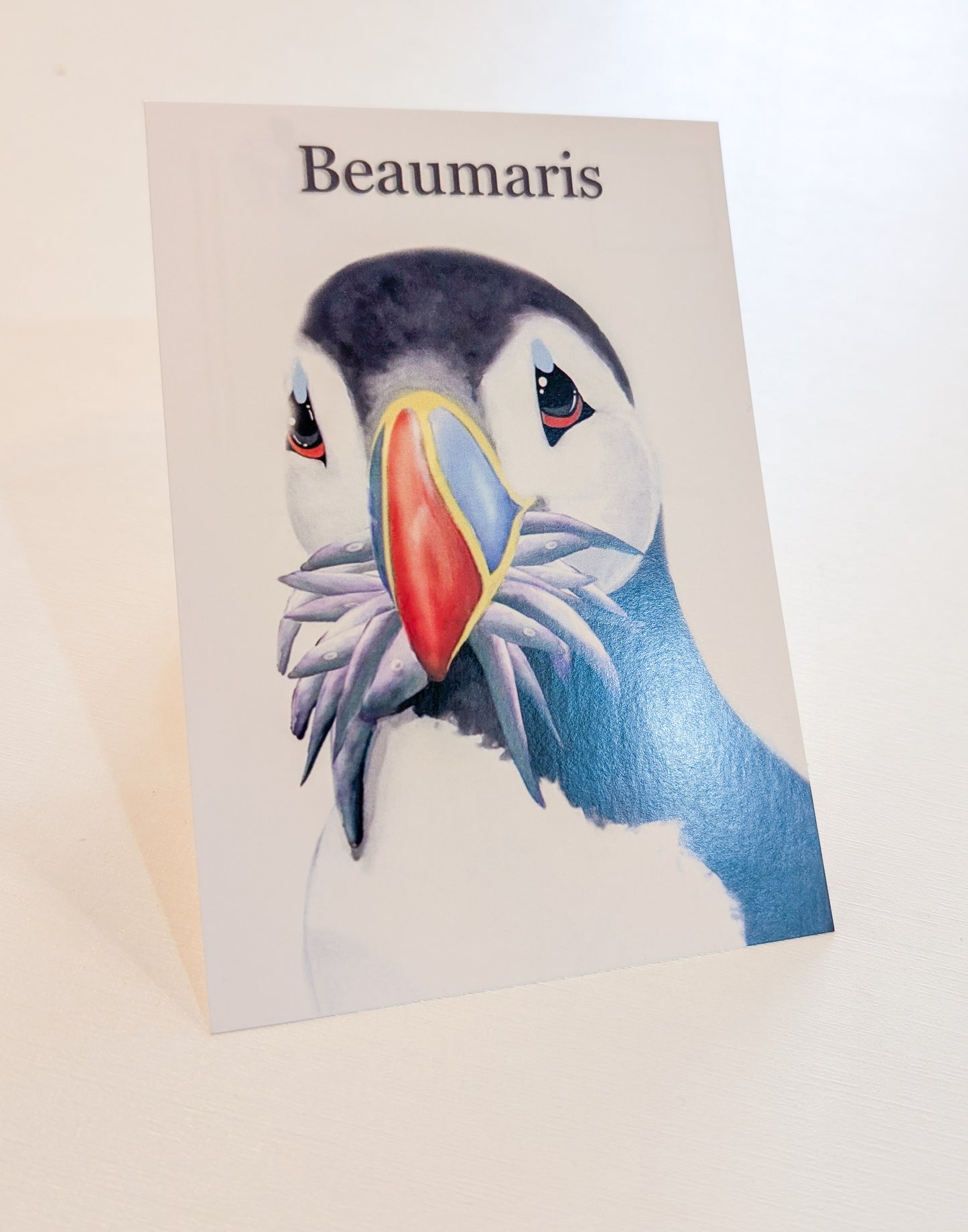 Hand Painted Beaumaris Stuffin' Puffin Postcards