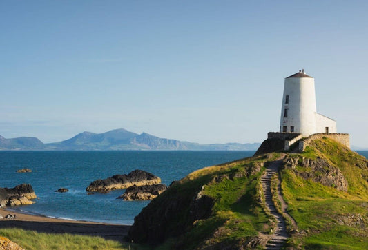 Exploring Anglesey: The Best Dog-Friendly Walks for You and Your Pooch