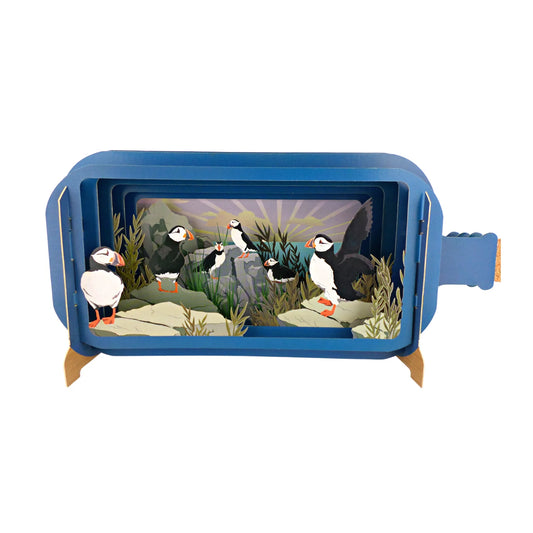 Alljoy Design Puffins Message In A Bottle Card