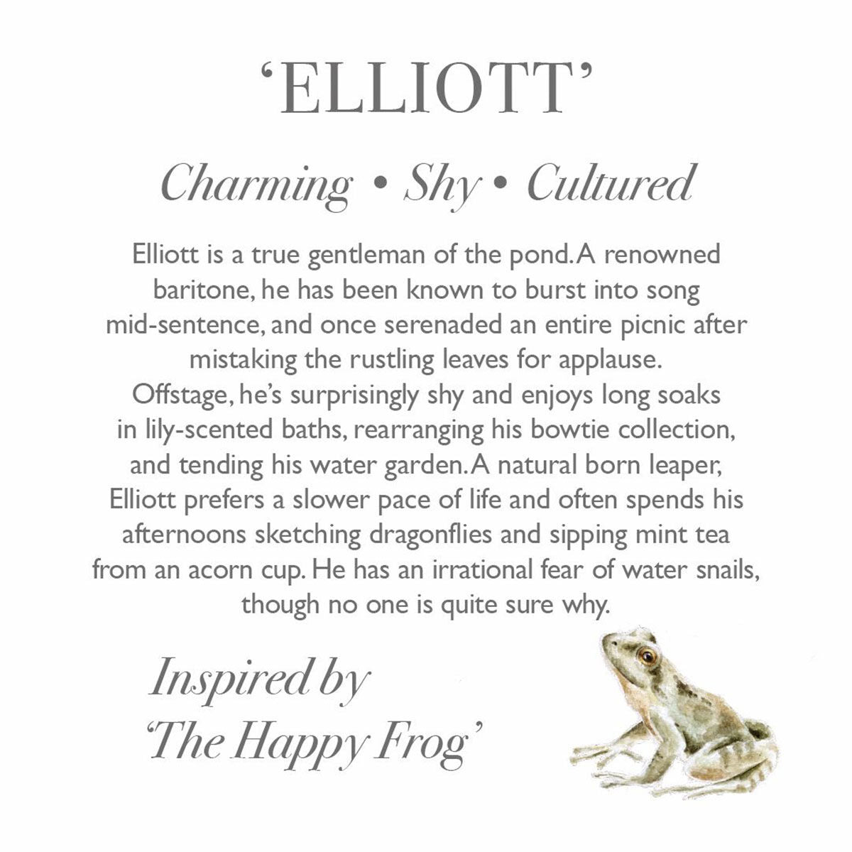 ‘Elliott’ Plush Frog Character Junior