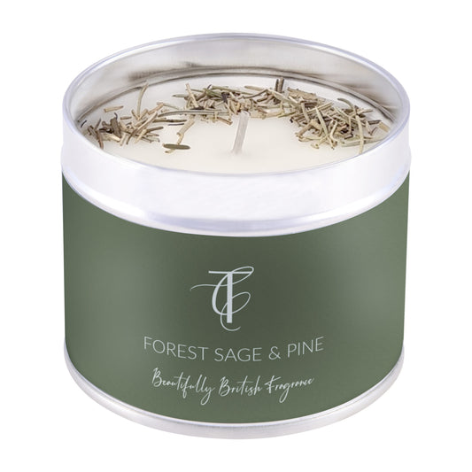 SEASONAL PASTELS - FOREST SAGE & PINE TIN CANDLE