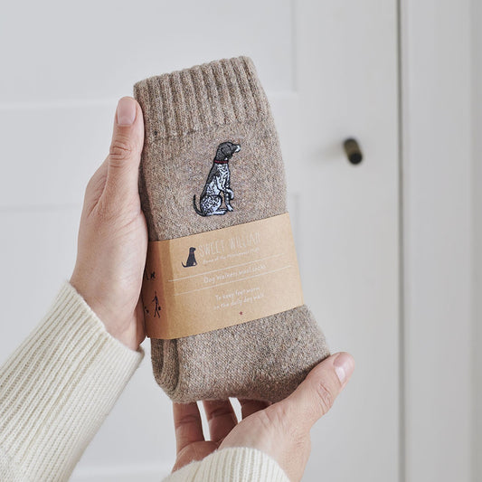 Sweet William German Shorthaired Pointer Wool Socks