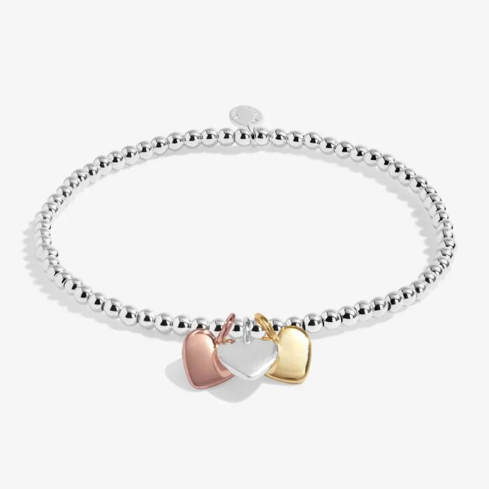 Joma Jewellery A Little Charmed Moments ‘Friendship’ Bracelet