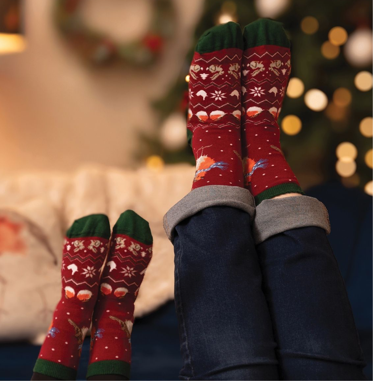 ‘Seasons Tweetings’ Robin Socks