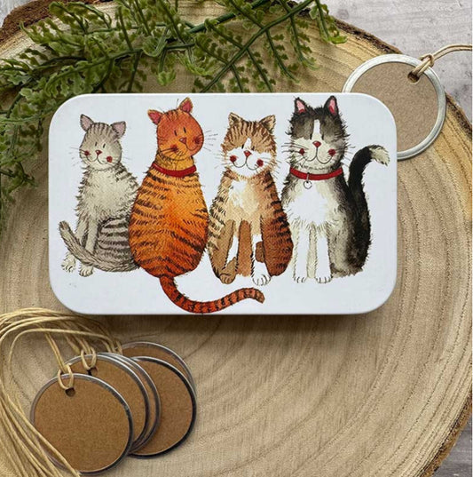 Marvellous Moggies Small Rectangle Tin