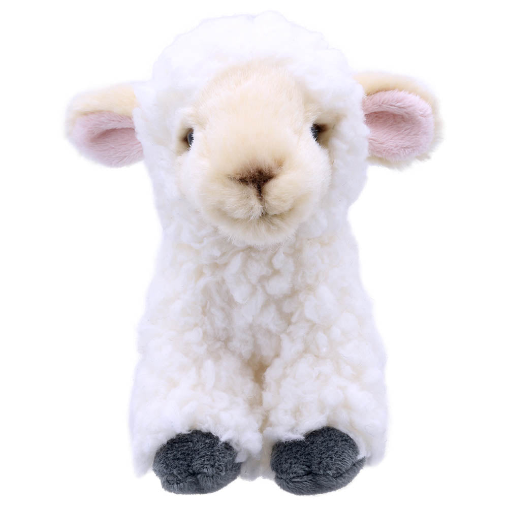 Mini Lamb