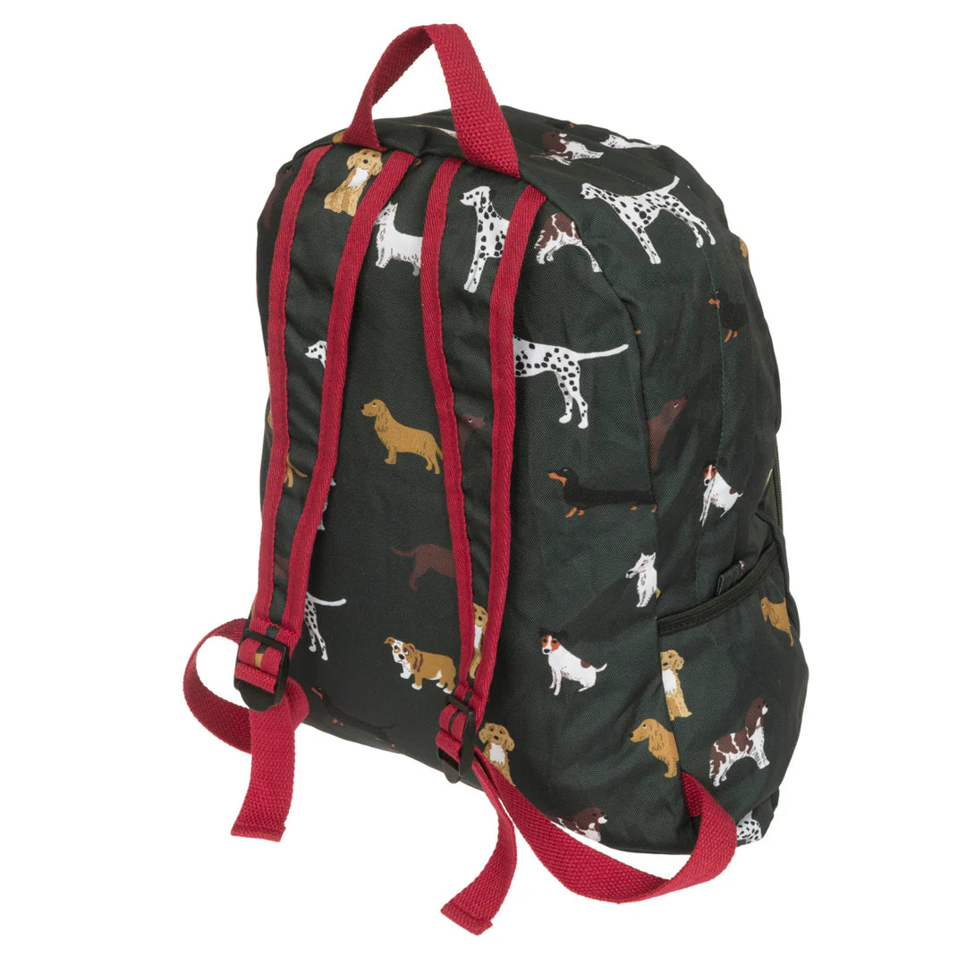 Fetch Folding Rucksack