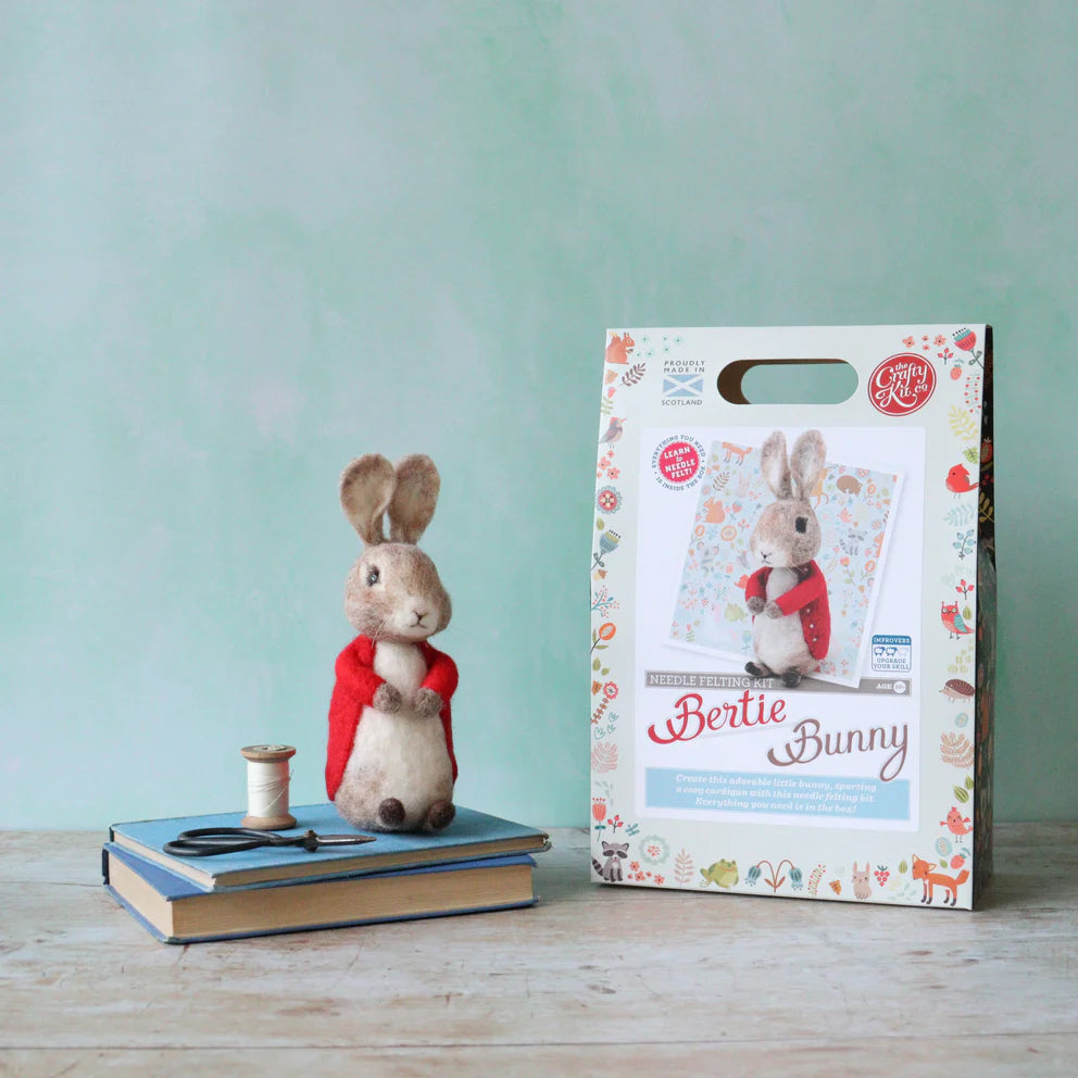 Bertie Bunny Needle Felting Craft  Kit