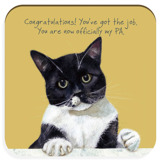 Tuxedo Cat Coaster | Little Dog Laughed