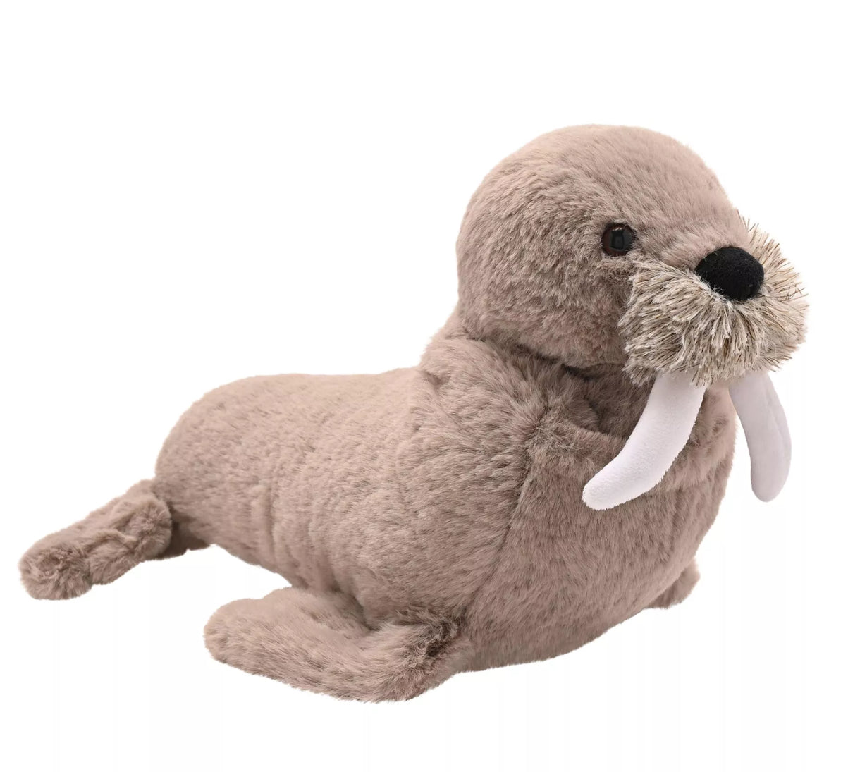 Walter Walrus Plush 30cm