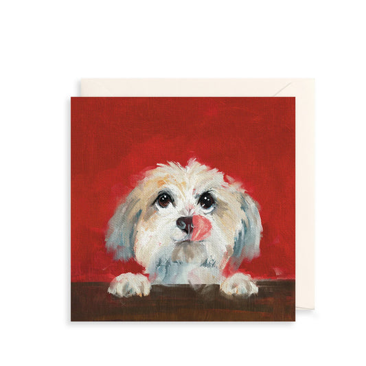 Rosie the Shih Tzu Hounds Card