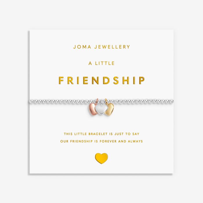 Joma Jewellery A Little Charmed Moments ‘Friendship’ Bracelet