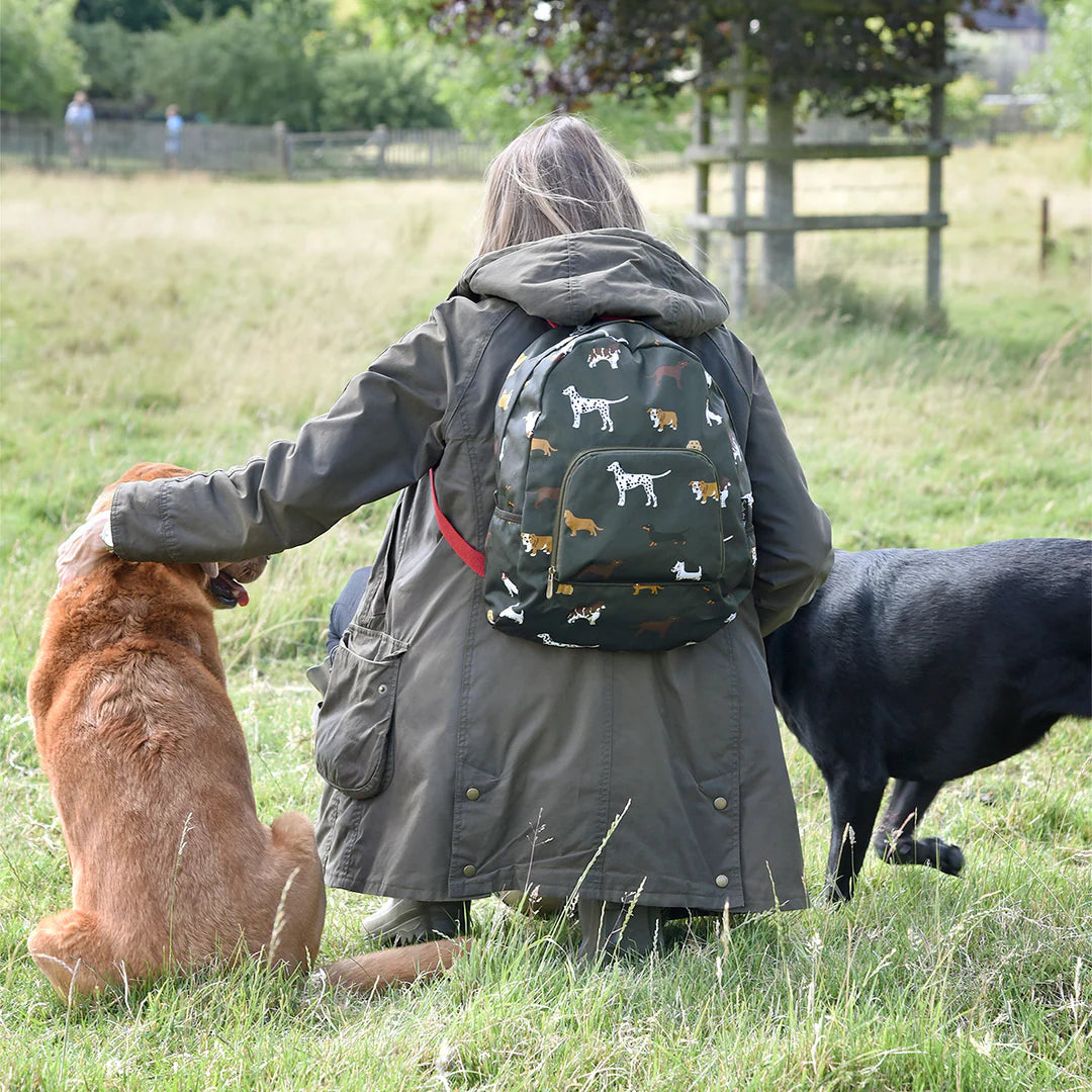 Fetch Folding Rucksack