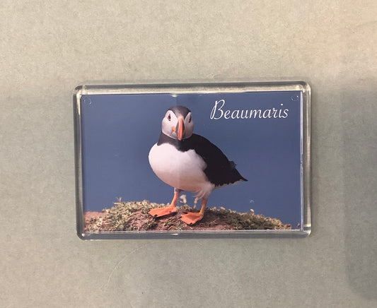 Puffin Prints Beaumaris Magnet David Braiden Photography