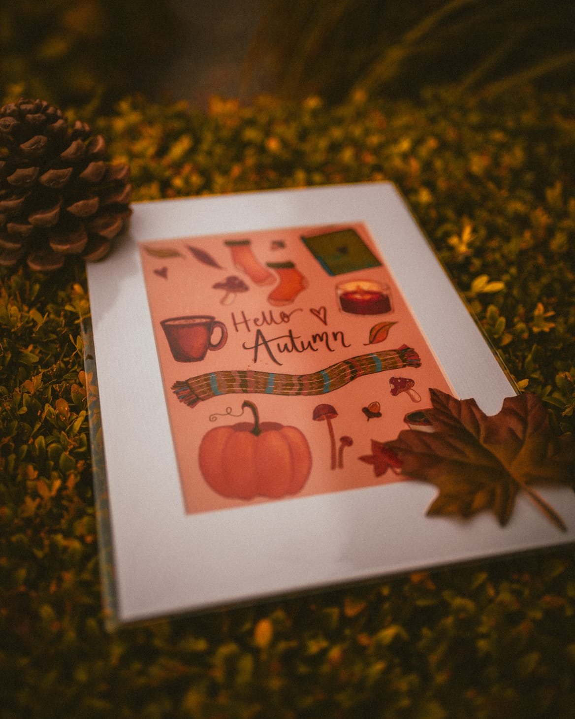 ‘Hello Autumn’