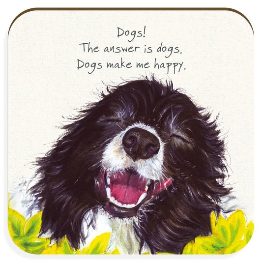 Coaster - Border Collie - Happy Dogs