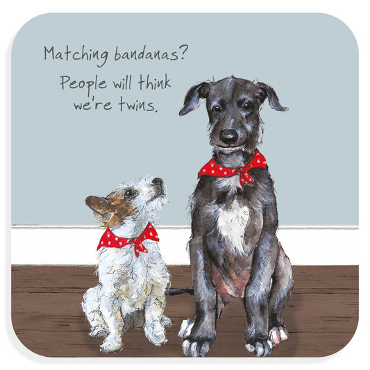 Coaster - Deerhound & Terrier - Twins!
