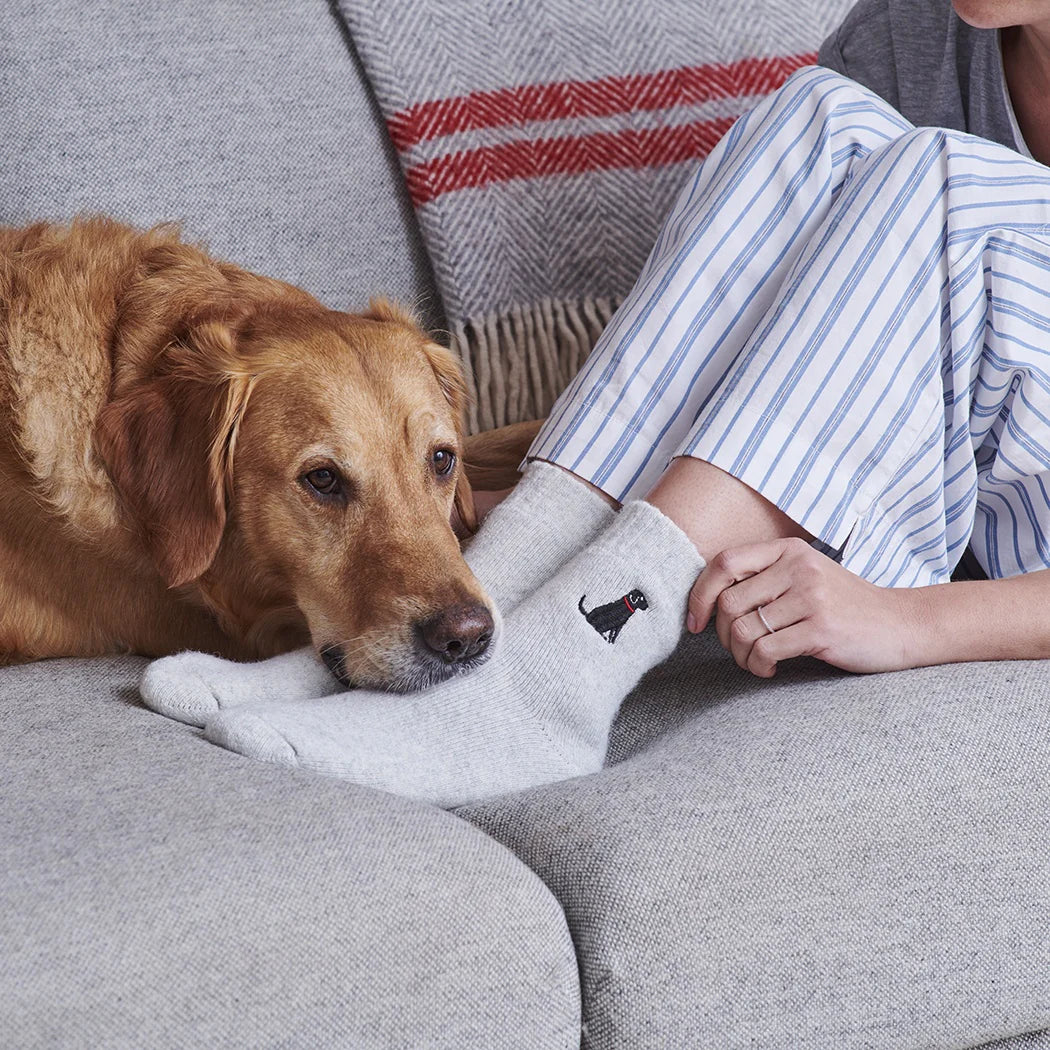 Sweet William Black Labrador Dog Walking Socks