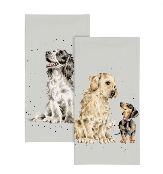 ‘First Dates’ Dog Pocket Tissues