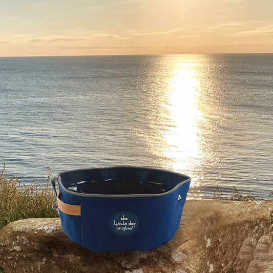 Foldable Dog Travel Bowl | Little Dog Laughed - Navy