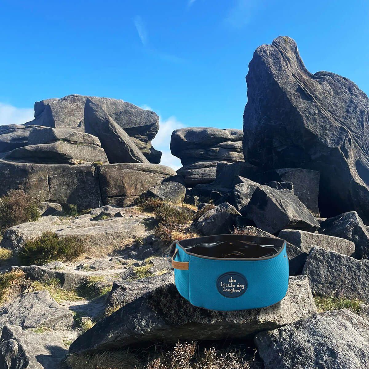 Foldable Dog Travel Bowl | Little Dog Laughed - Blue