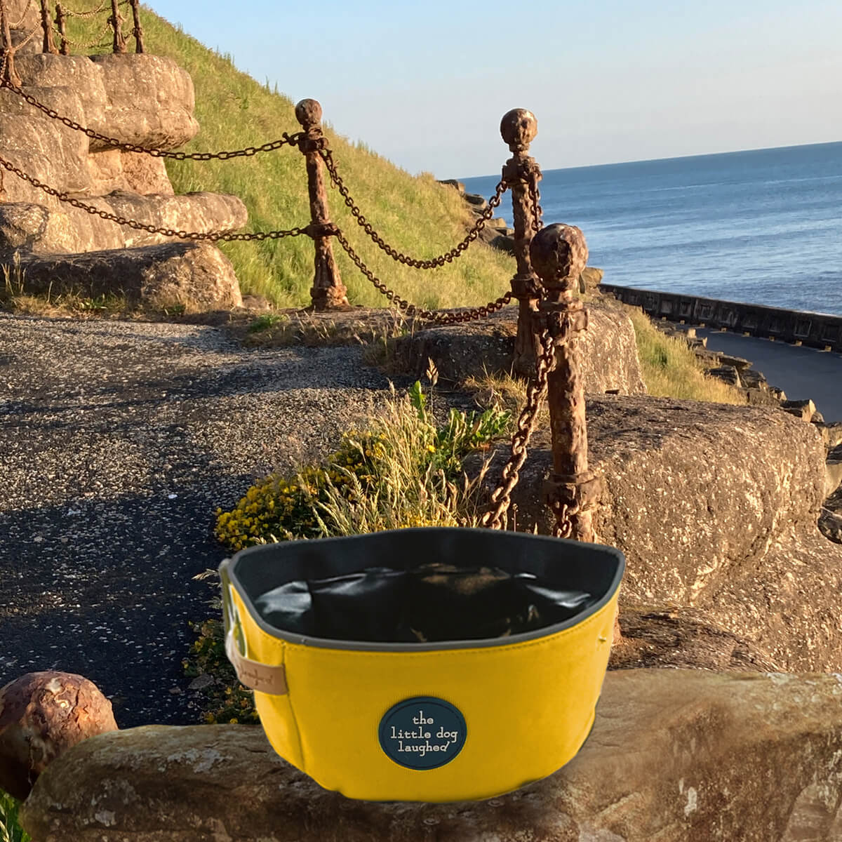 Foldable Dog Travel Bowl | Little Dog Laughed - Yellow