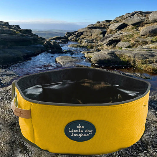 Foldable Dog Travel Bowl | Little Dog Laughed - Yellow
