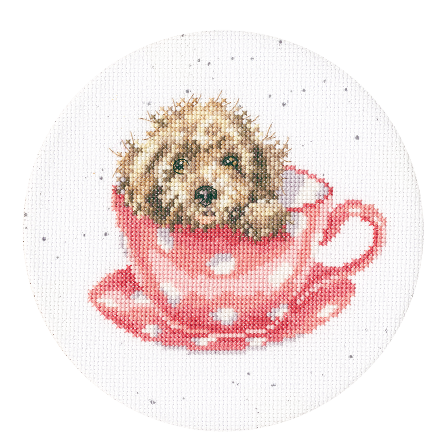 Hannah Dale ‘Teacup Pup’