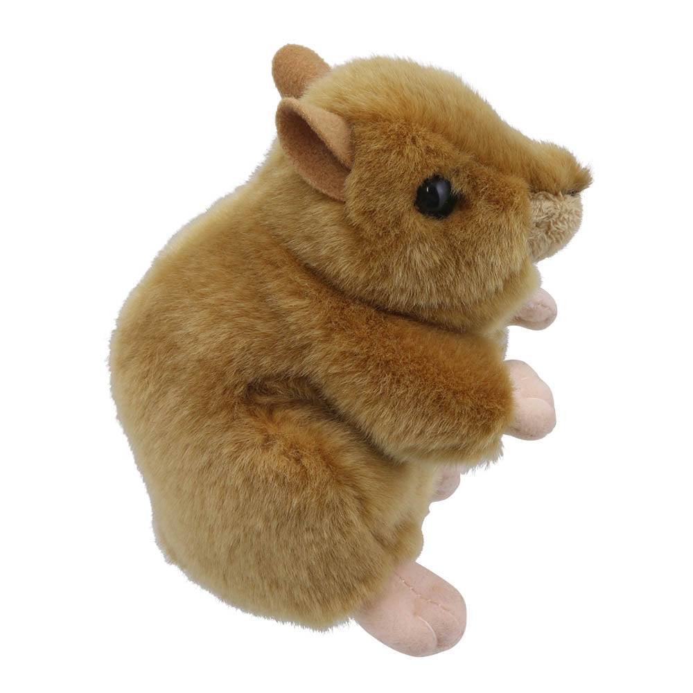 Mini Hamster