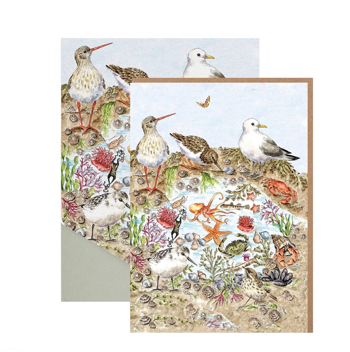 Wrendale ‘Secrets Of The Sea’ Notecard Pack